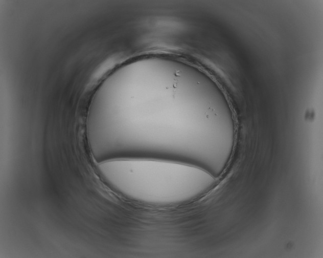 X0000093501355200710121034