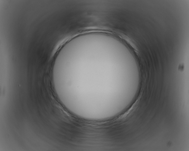 X0000093501357200710121034