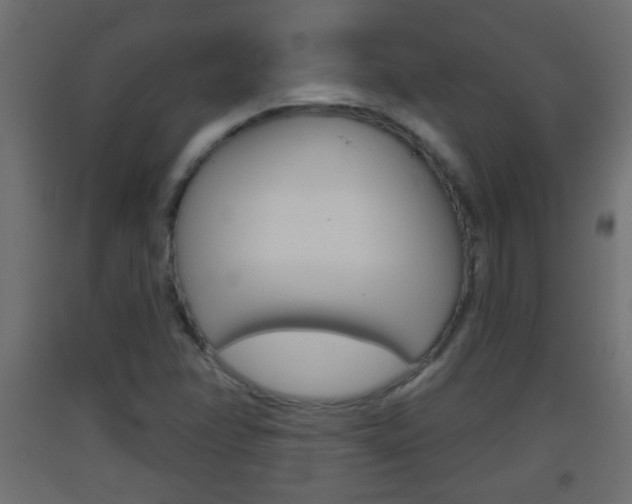 X0000093501358200710121034