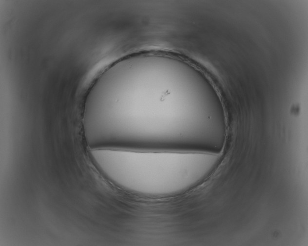 X0000093501359200710121034
