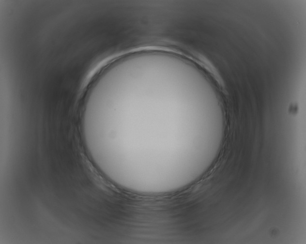 X0000093501360200710121034