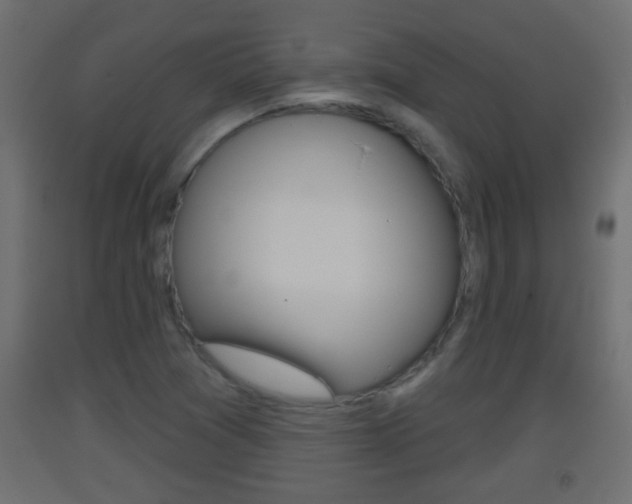 X0000093501361200710121034