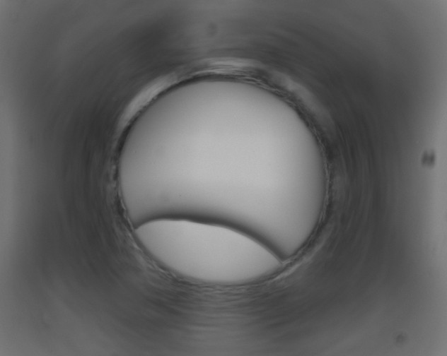 X0000093501362200710121034