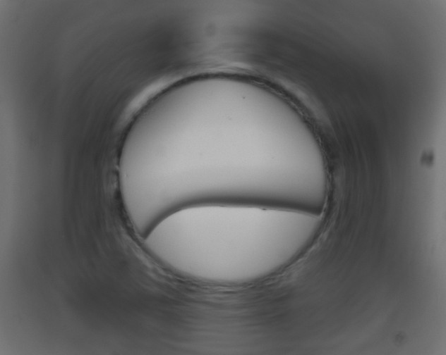 X0000093501363200710121034