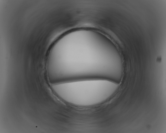 X0000093501364200710121034