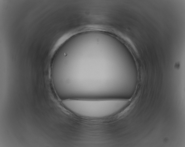 X0000093501365200710121034