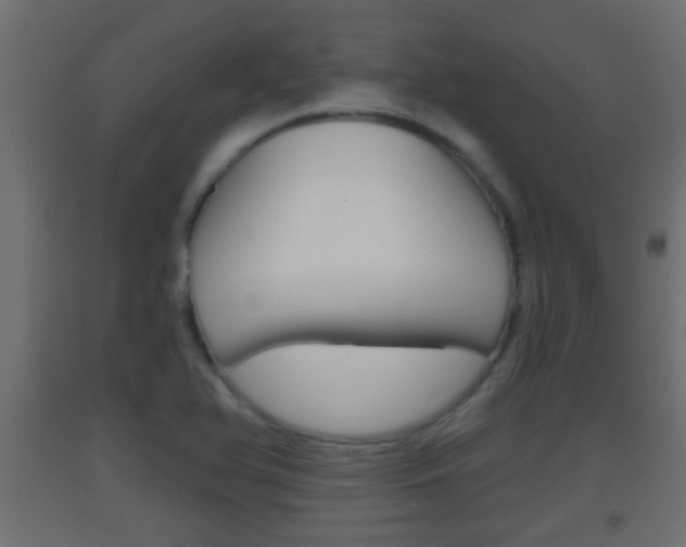 X0000093501366200710121034