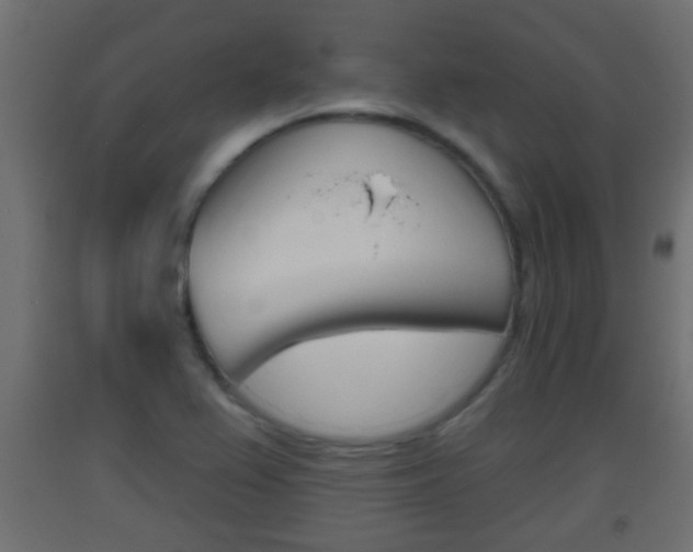 X0000093501367200710121034