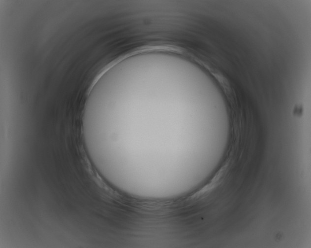 X0000093501369200710121034