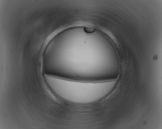 X0000093501371200710121034
