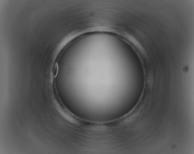 X0000093501372200710121034