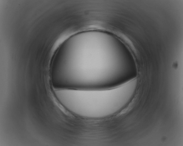 X0000093501373200710121034