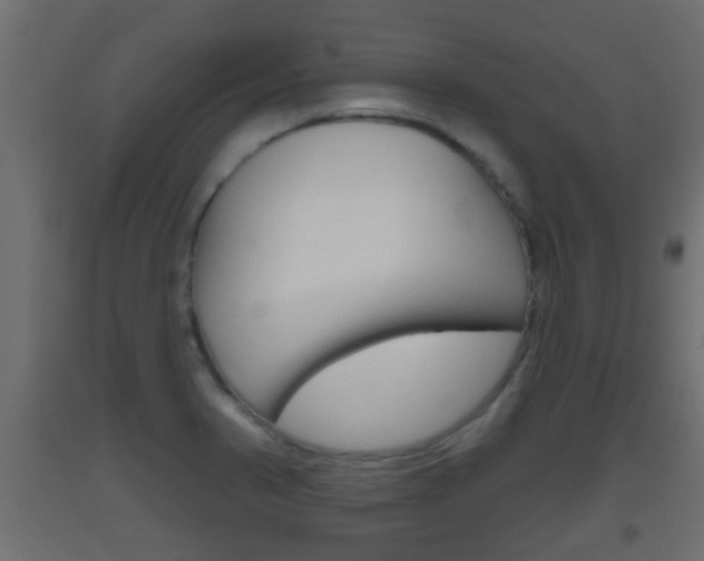 X0000093501374200710121034