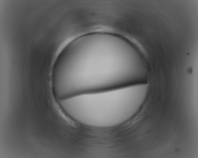 X0000093501375200710121034