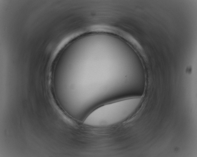 X0000093501376200710121034