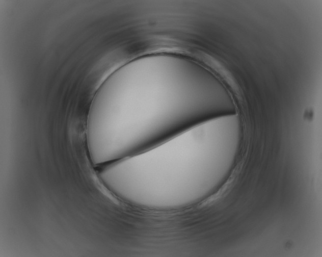 X0000093501377200710121034