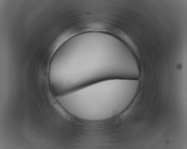 X0000093501378200710121034