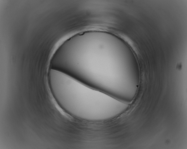 X0000093501379200710121034