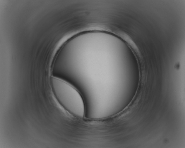 X0000093501380200710121034