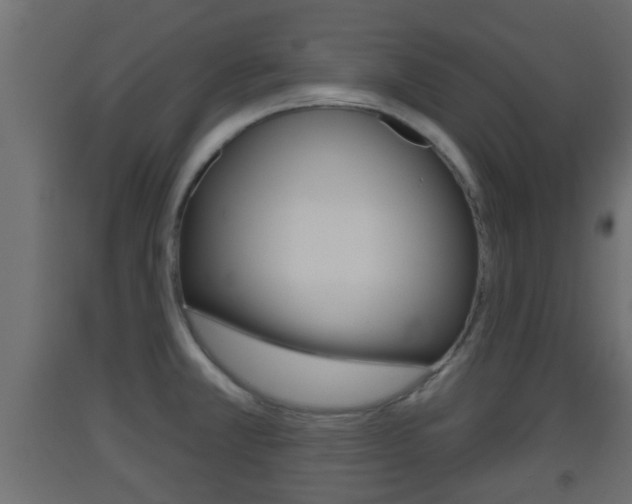X0000093501381200710121034