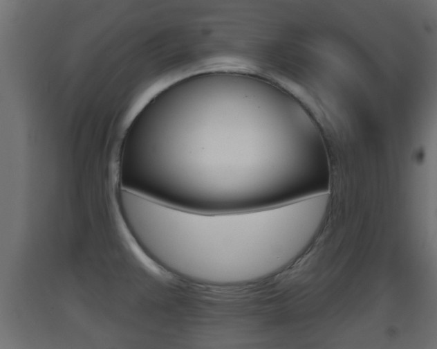 X0000093501383200710121034
