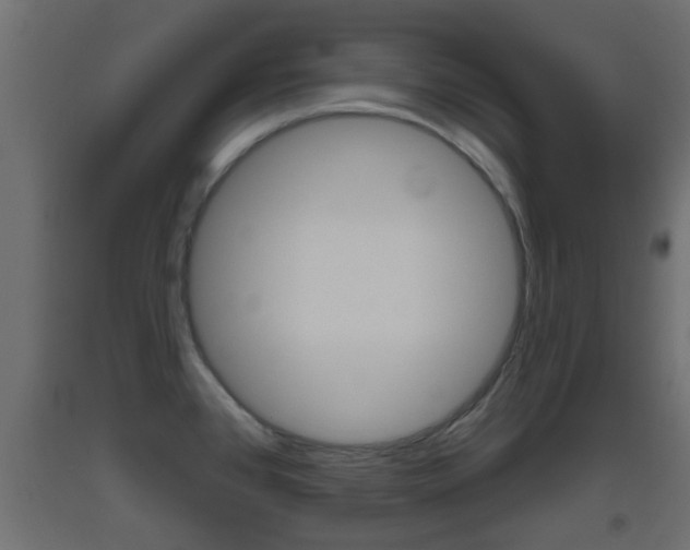 X0000093501384200710121034