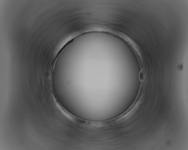 X0000093501385200710121034