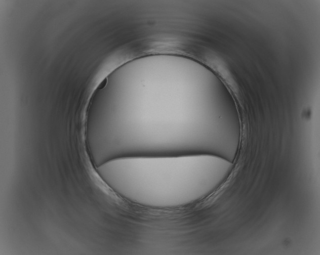 X0000093501386200710121034