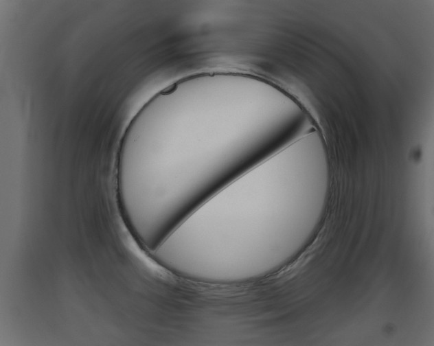 X0000093501387200710121034