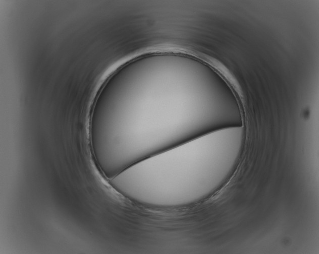 X0000093501388200710121034
