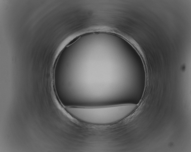 X0000093501389200710121034