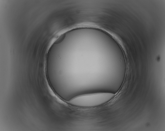 X0000093501390200710121034