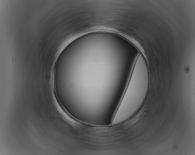 X0000093501391200710121034