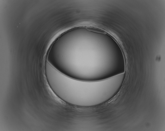 X0000093501392200710121034