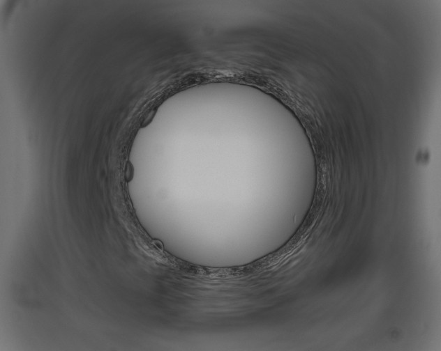 X0000093501393200710121033