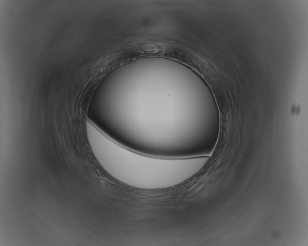 X0000093501394200710121033