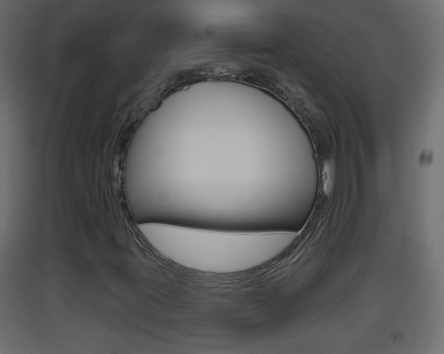 X0000093501395200710121033
