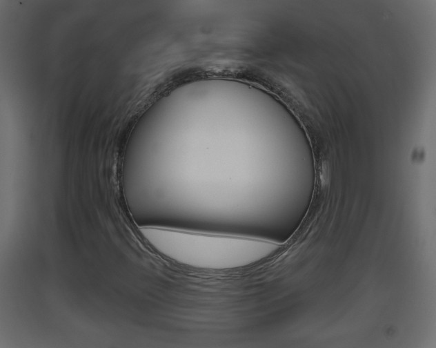 X0000093501396200710121033