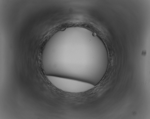X0000093501397200710121033