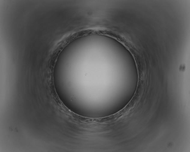 X0000093501398200710121033