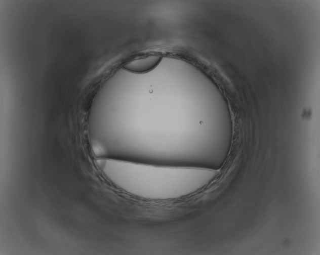 X0000093501399200710121033