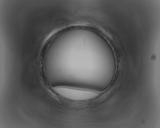X0000093501400200710121033