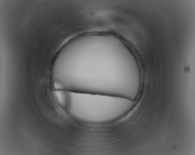 X0000093501401200710121033