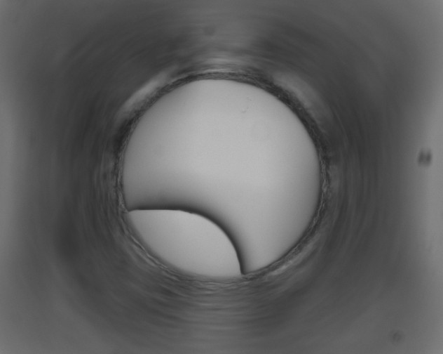 X0000093501403200710121033
