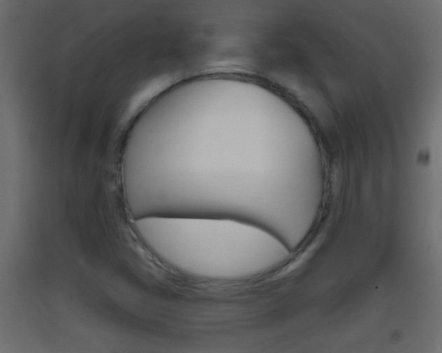 X0000093501405200710121033