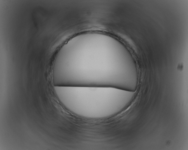 X0000093501407200710121033