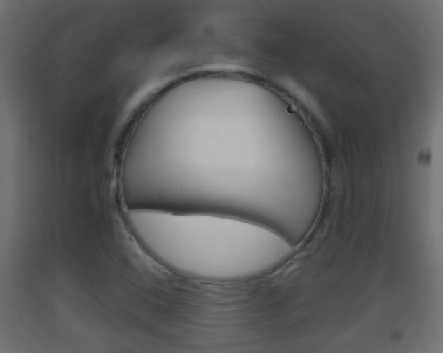 X0000093501408200710121033
