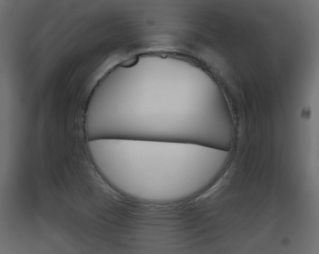 X0000093501409200710121033
