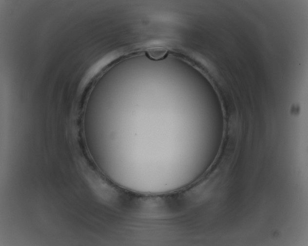 X0000093501410200710121033