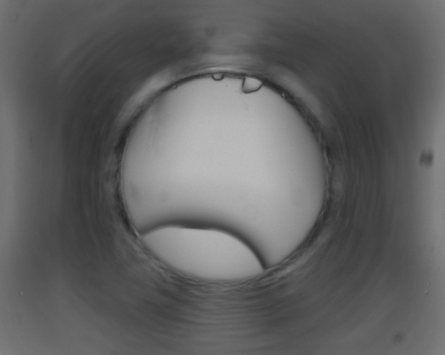 X0000093501411200710121033